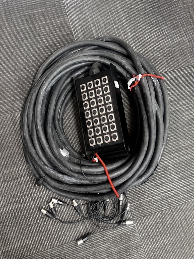 244X SNAKE 24XLR