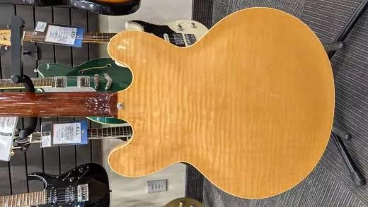 Gibson - ESDT18DNNH 2