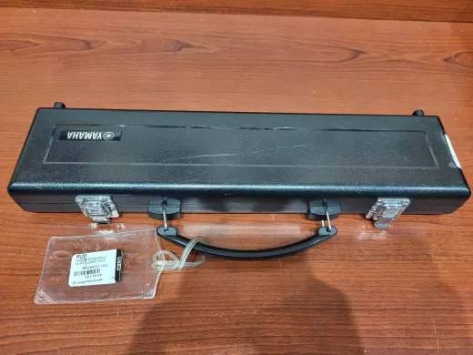 Yamaha Band - YFL221 2