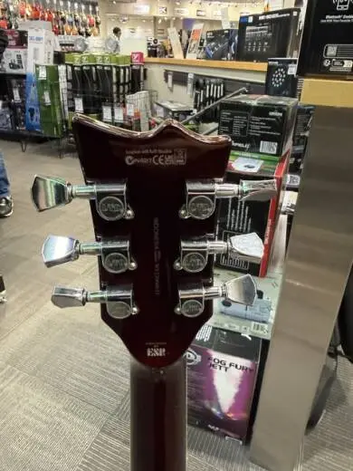 ESP Guitars - LTD EC-256FM 2