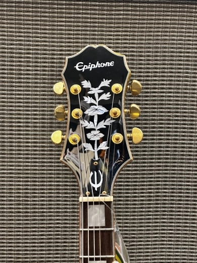 Store Special Product - Epiphone - ETSWFGGB