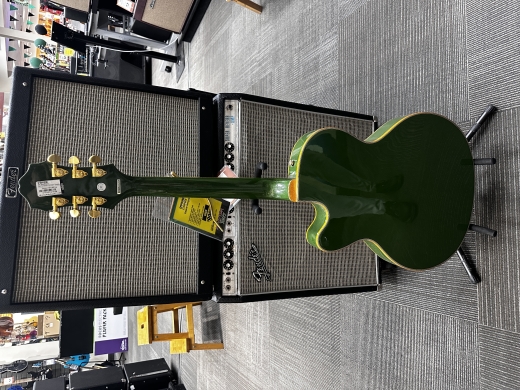 Store Special Product - Epiphone - ETSWFGGB