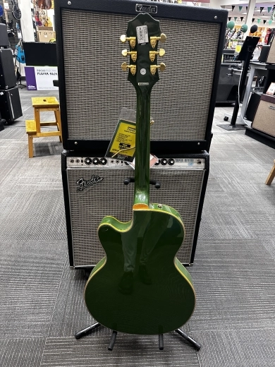 Store Special Product - Epiphone - ETSWFGGB