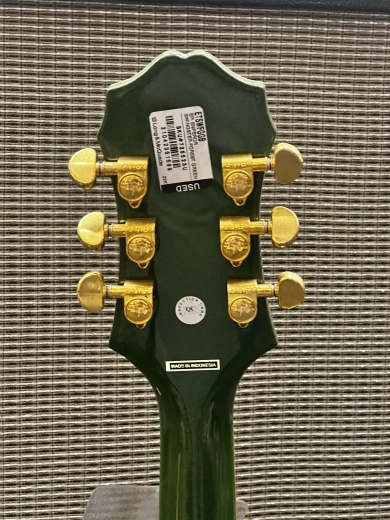 Epiphone - ETSWFGGB 6