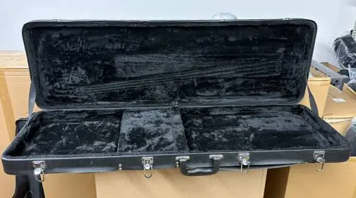 Used Bass Hard Case 2