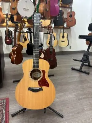 Taylor GS Mini