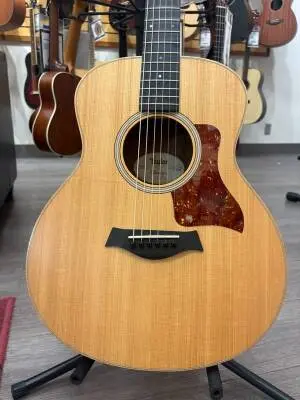 Taylor GS Mini 2