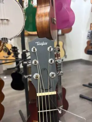 Taylor GS Mini 2