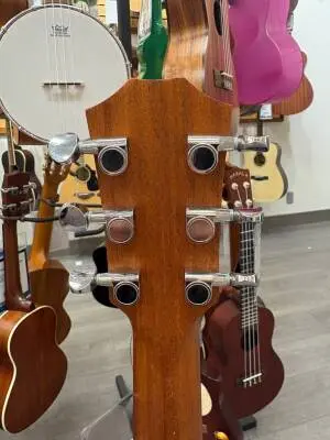 Taylor GS Mini 2