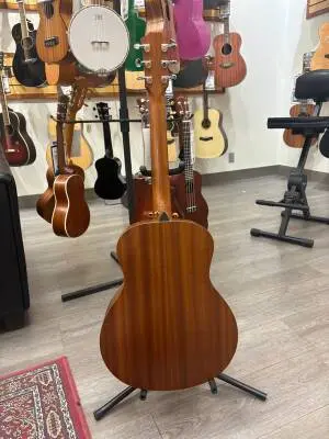 Taylor GS Mini 2