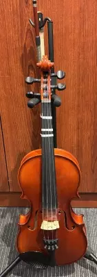 Schoenbach Budget Viola