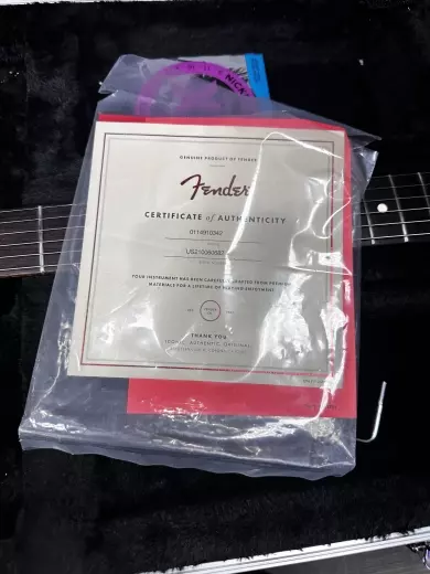 Fender - 011-4910-342 7