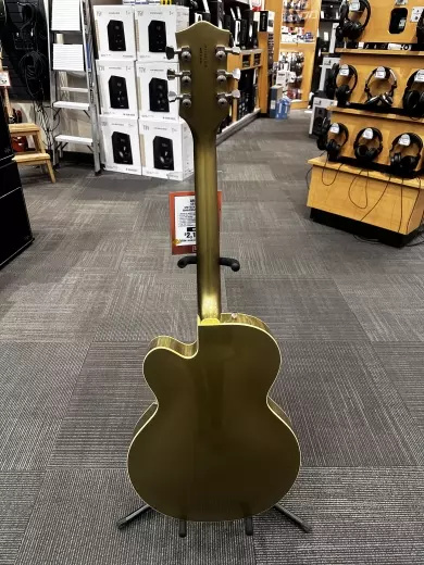 GRETSCH G6118T-125 ANNIVERSARY JAG TANN 2