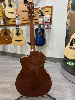 Taylor 214ce-QS DLX LTD Grand Auditorium 2