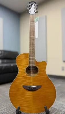 Yamaha - APX600FM AM