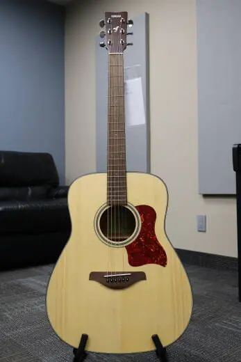 Store Special Product - Yamaha - FG800