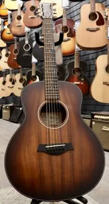 Taylor Guitars - GS MINI-E KPLUS