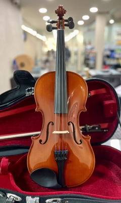 Eastman Strings - 80-Series Violin Outfit 4/4