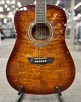 Washburn - Premium Acoustic Dreadnought 2