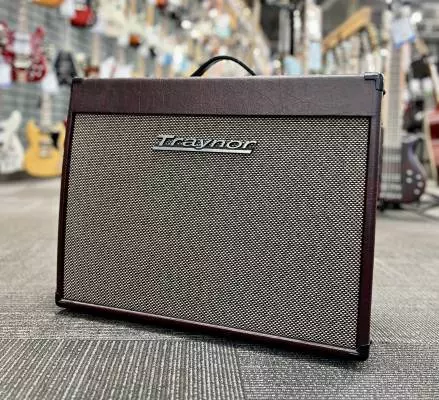 Traynor - Custom Valve 40 Watt All-Tube 1x12 Guitar Combo Amp - Wine Red
