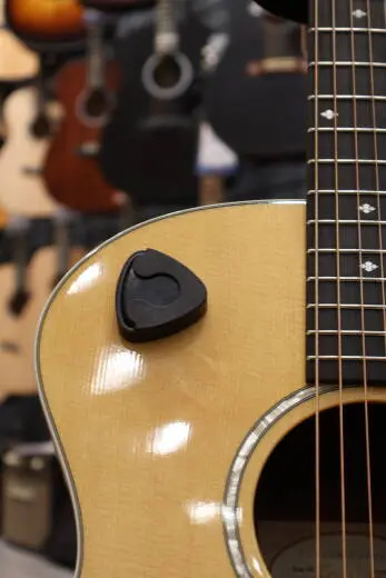 Taylor Guitars - 214E DLX 2