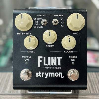 Store Special Product - Strymon - FLINT