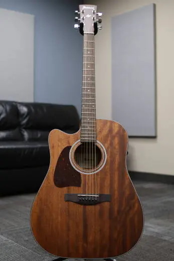 Ibanez - AW ACOUSTIC LH OPN