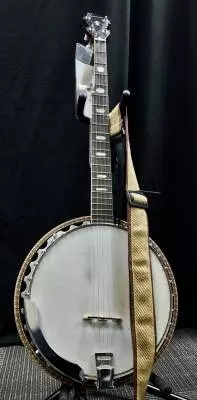 WASHBURN SILVER EAGLE 5 STR BANJO