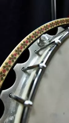 WASHBURN SILVER EAGLE 5 STR BANJO 2