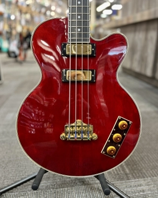 Epiphone - Allen Woody Bass 2