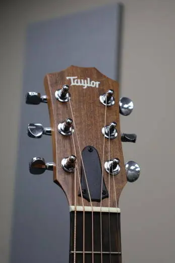 Taylor Guitars - GS MINI-E MAH 2