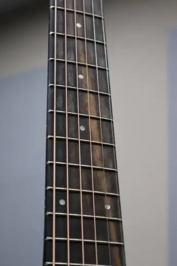 Taylor Guitars - GS MINI-E MAH 2