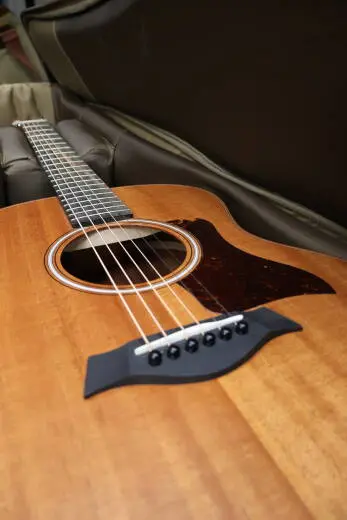 Taylor Guitars - GS MINI-E MAH 2