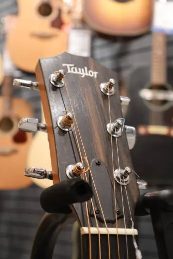 Taylor Guitars - 214CE-RW 2