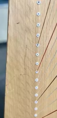 Lyon & Healy - DRAKE TWO-TONE 2