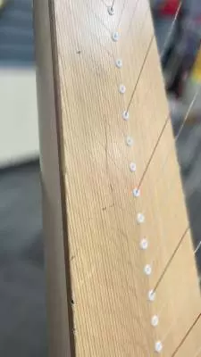 Lyon & Healy - DRAKE TWO-TONE 2