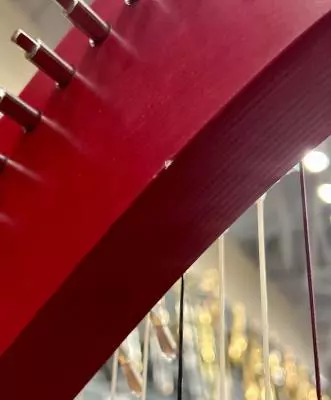 Lyon & Healy - DRAKE TWO-TONE 2