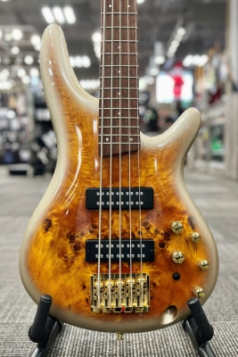 Ibanez - SR 5-String Bass (Mars Metallic Gold Burst) 2