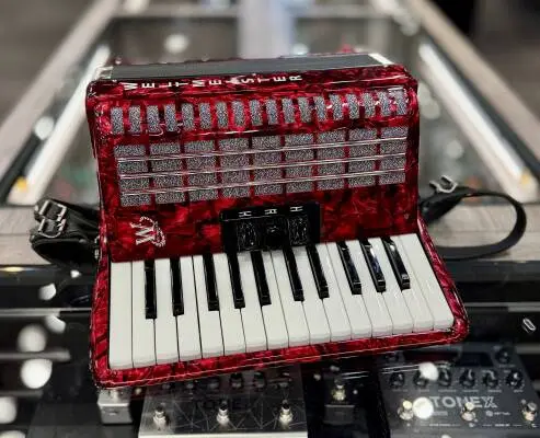 WELTMEISTER PERLE 48 BASS PIANO ACCORDION 2