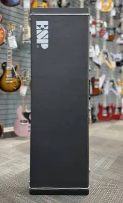 ESP BASS CASE