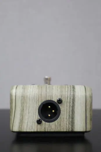 L.R Baggs - LR-ALIGN-DI 2