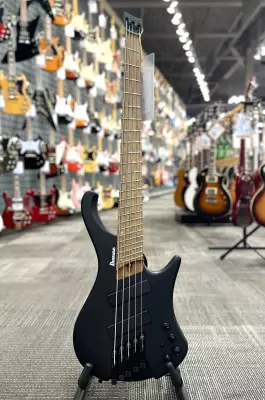 Ibanez - Workshop 5-String Multi-Scale