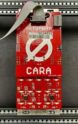 MUTABLE INSTRUMENTS CLONE - ANTUMBRA CARA (MARBLES CLONE) 2