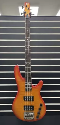 IBANEZ XTREME BASS BASSWOOD BODY DUAL SOAPBAR