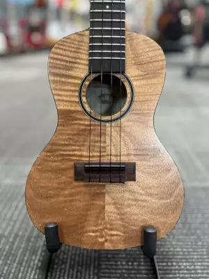 Kala - EXOTIC MAHOGANY CONCERT UKULELE 2