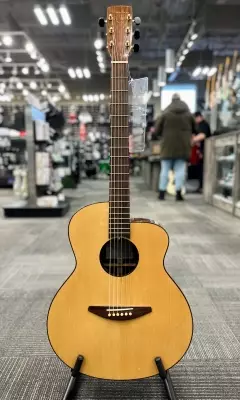 Baden Guitars - A-Style Auditorium (Spruce/Rosewood)
