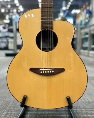 Baden Guitars - A-Style Auditorium (Spruce/Rosewood) 2