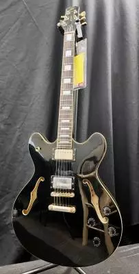 PEAVEY - JF1EXP - BLACK HOLLOWBODY