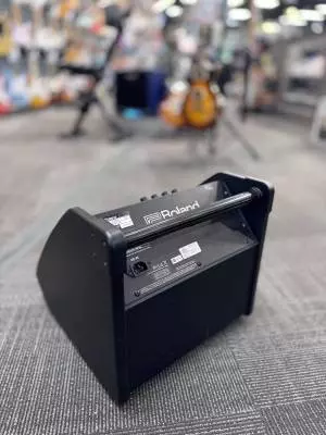 Roland - PM-100 2
