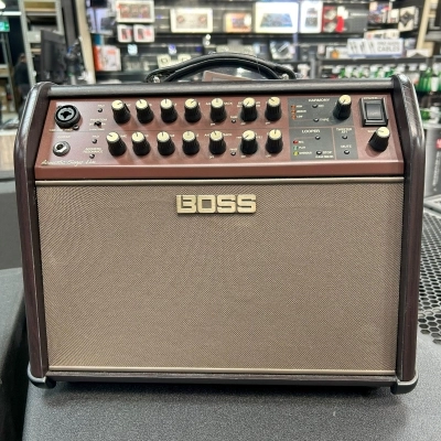 BOSS - Acoustic Singer Live